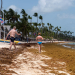 sargazo en República Dominicana
