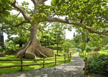 Jardín Botánico