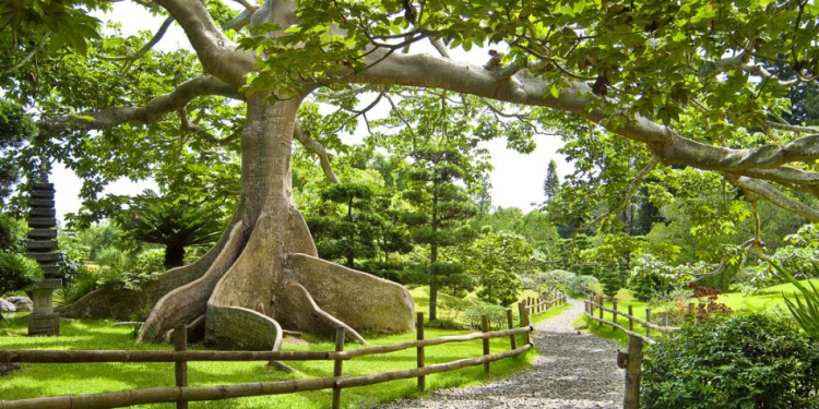Jardín Botánico