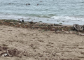 Playa Poza Bojolo en Nagua: ¿Olvido o descuido de las autoridades?