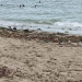 Playa Poza Bojolo en Nagua: ¿Olvido o descuido de las autoridades?