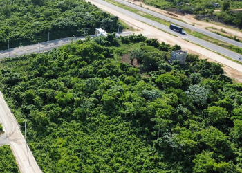 Solares en la avenida Ecológica