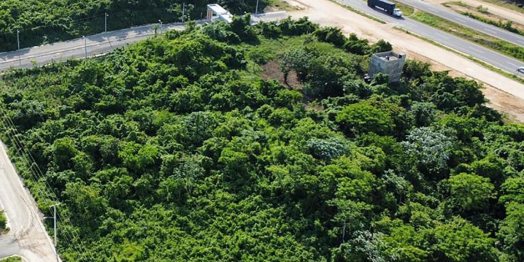 Conectividad en la Avenida Ecológica impulsa la venta de apartamentos y solares en SDE 1 Solares en la avenida Ecológica
