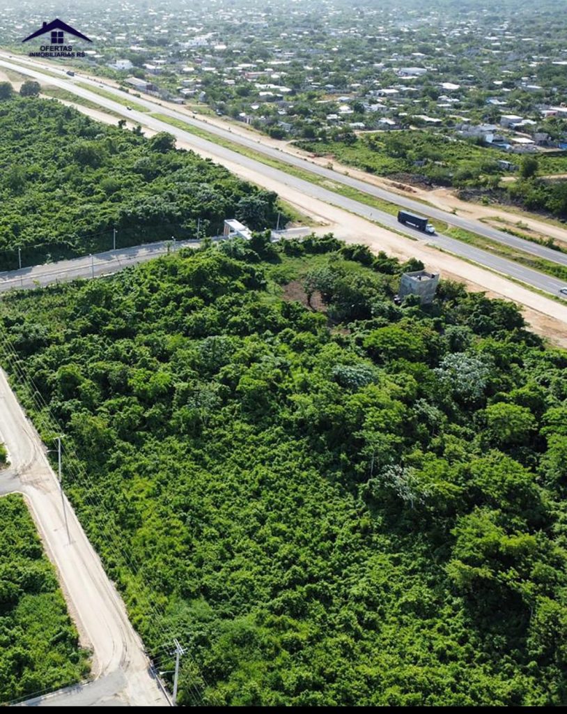 Solares en la avenida Ecologica