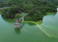 Daño ambiental en Presa de Hatillo